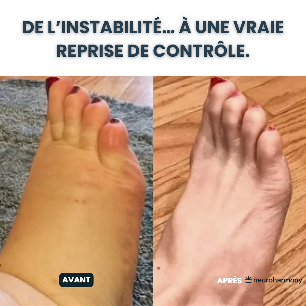 Neuroharmony Nerve Support